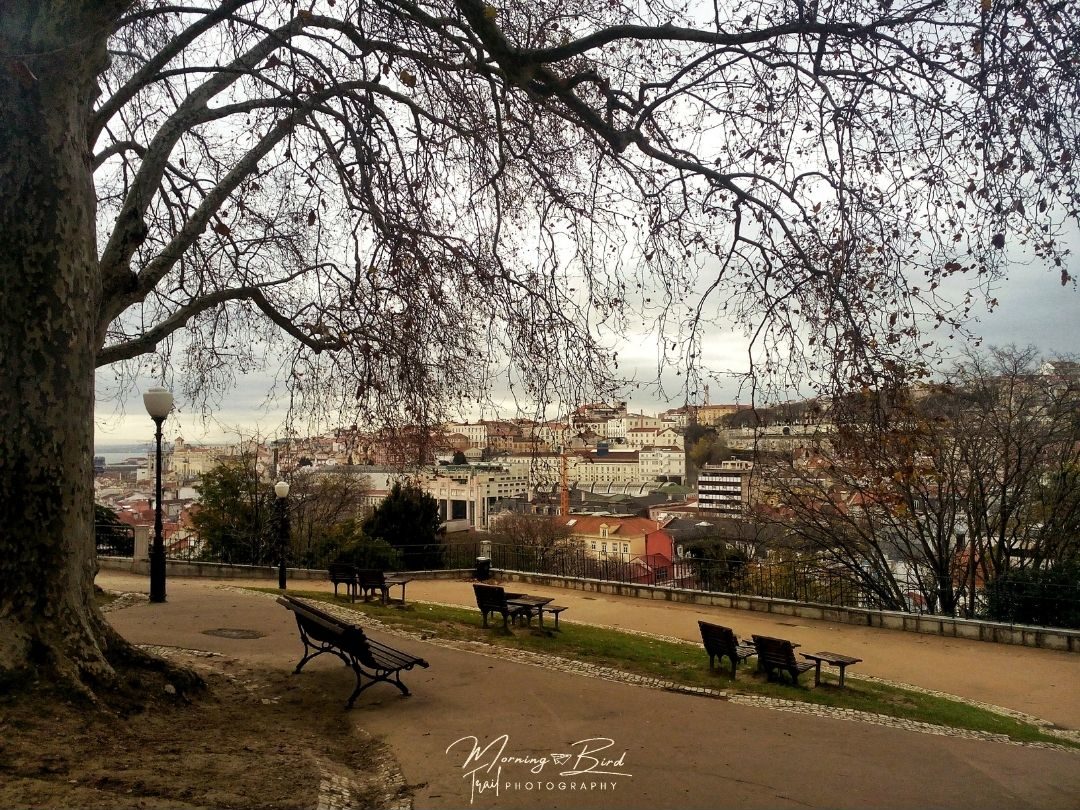 View from Torel park in 2018, nowadays the benches are gone.