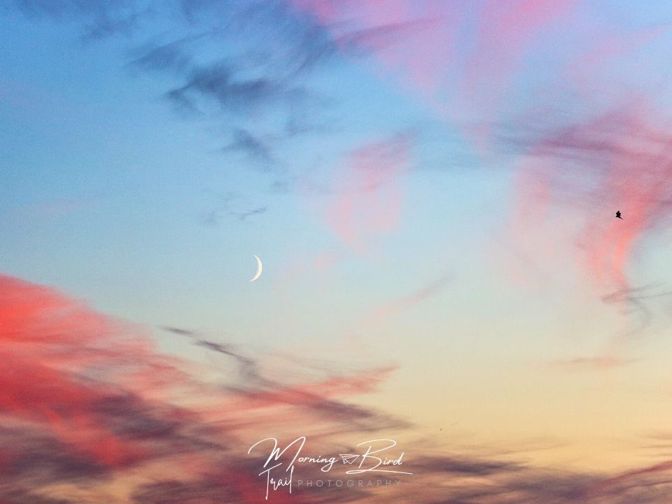 Sunset sky with pink clouds and a moon