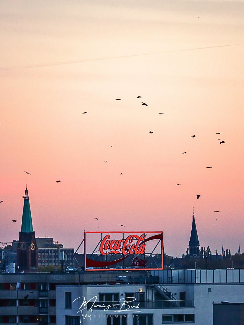 Sunset from the Humboldt Forum