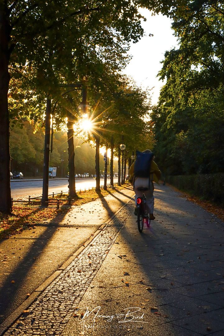 Berlin sunset near Victory Column 