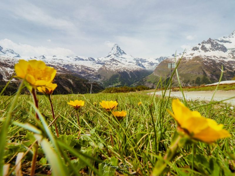 Ultimate Sunnegga Hiking Experience: Trail Guide and&nbsp;Highlights